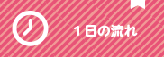１日の流れ